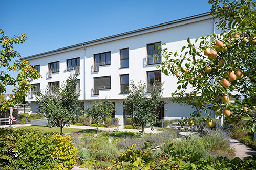pflegestern_cschranner_5966